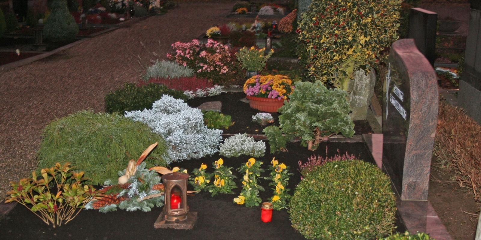 Foto:   27.10.2011