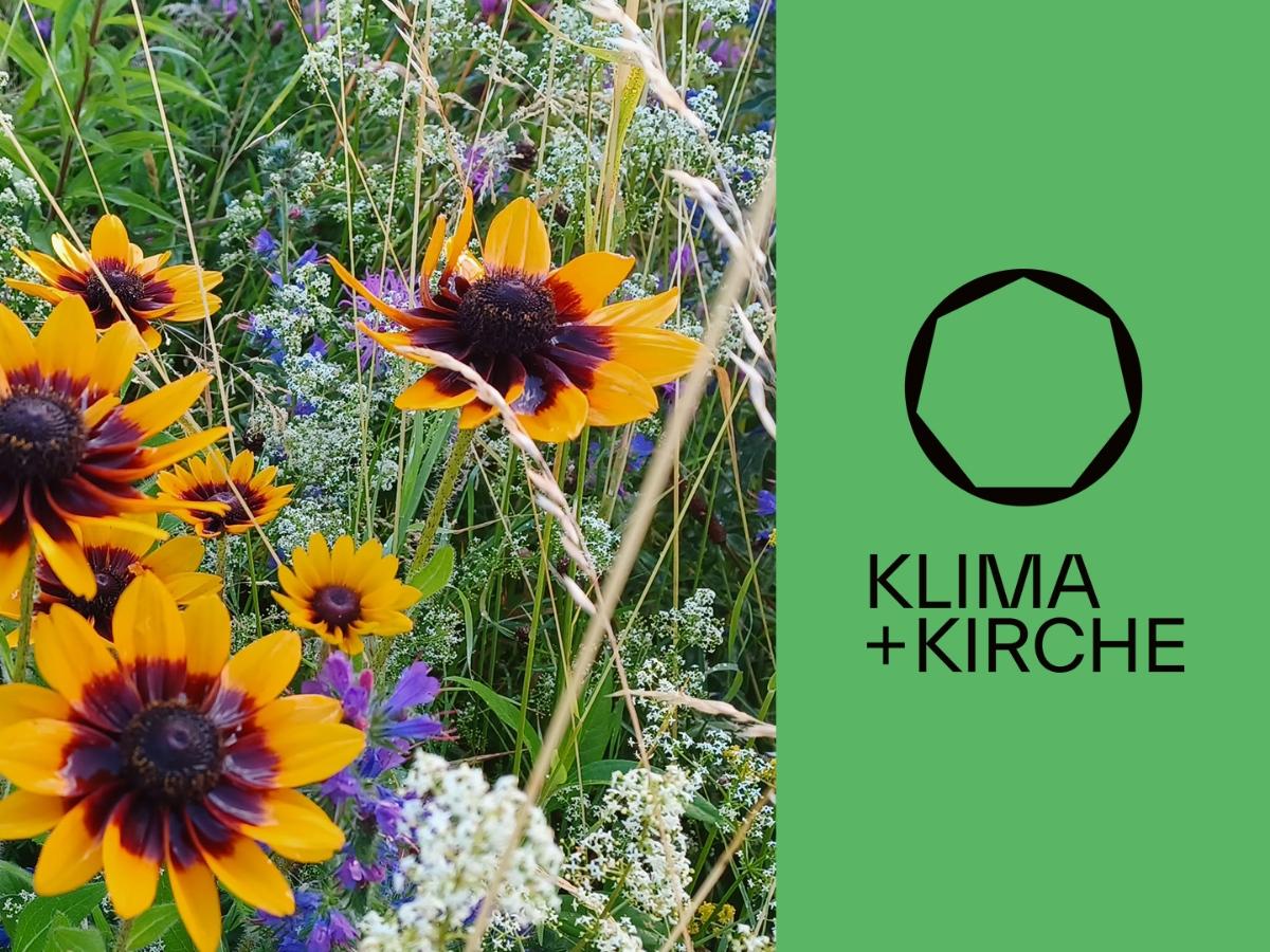 Klima+Kirche: Biodiversität fördern