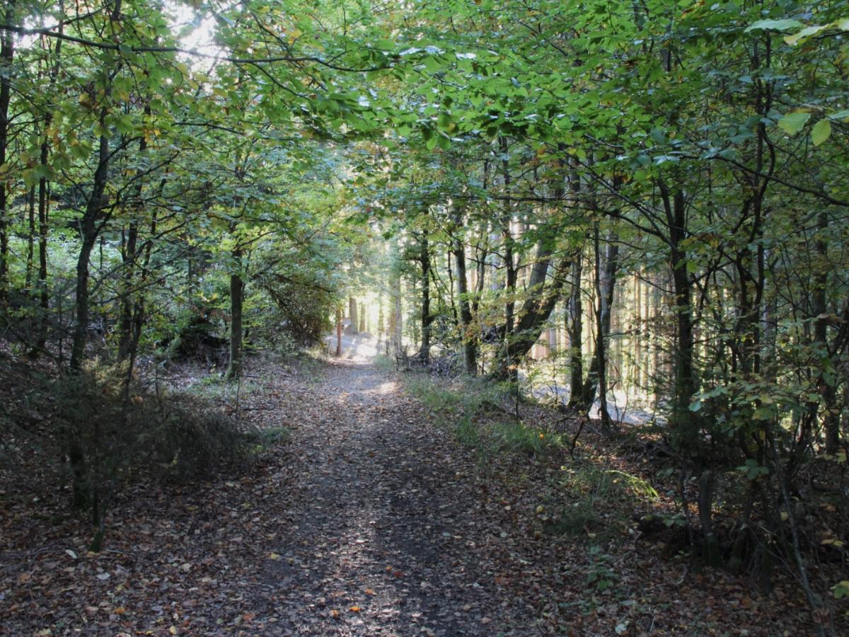 Waldweg