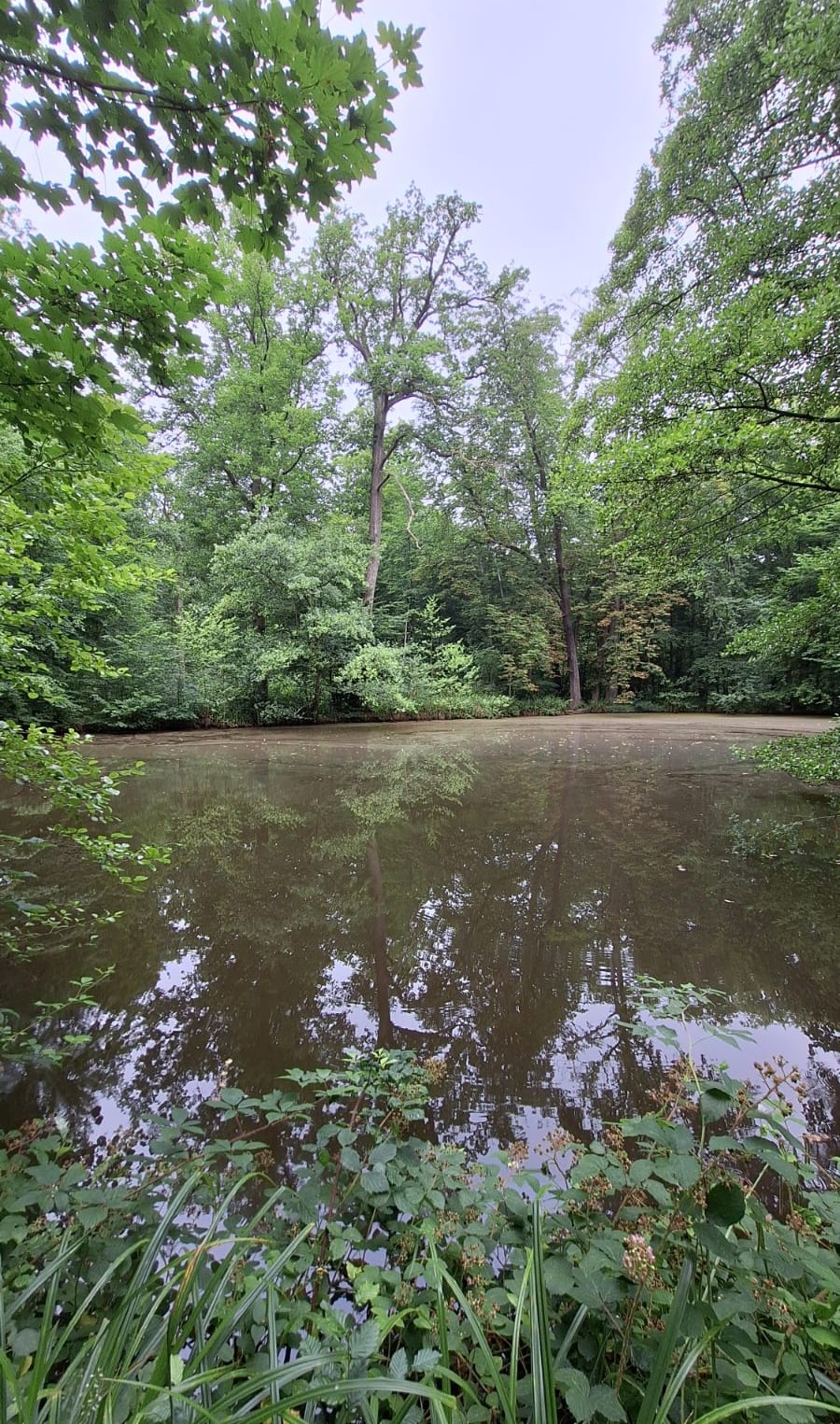 Med.-Wanderung-5