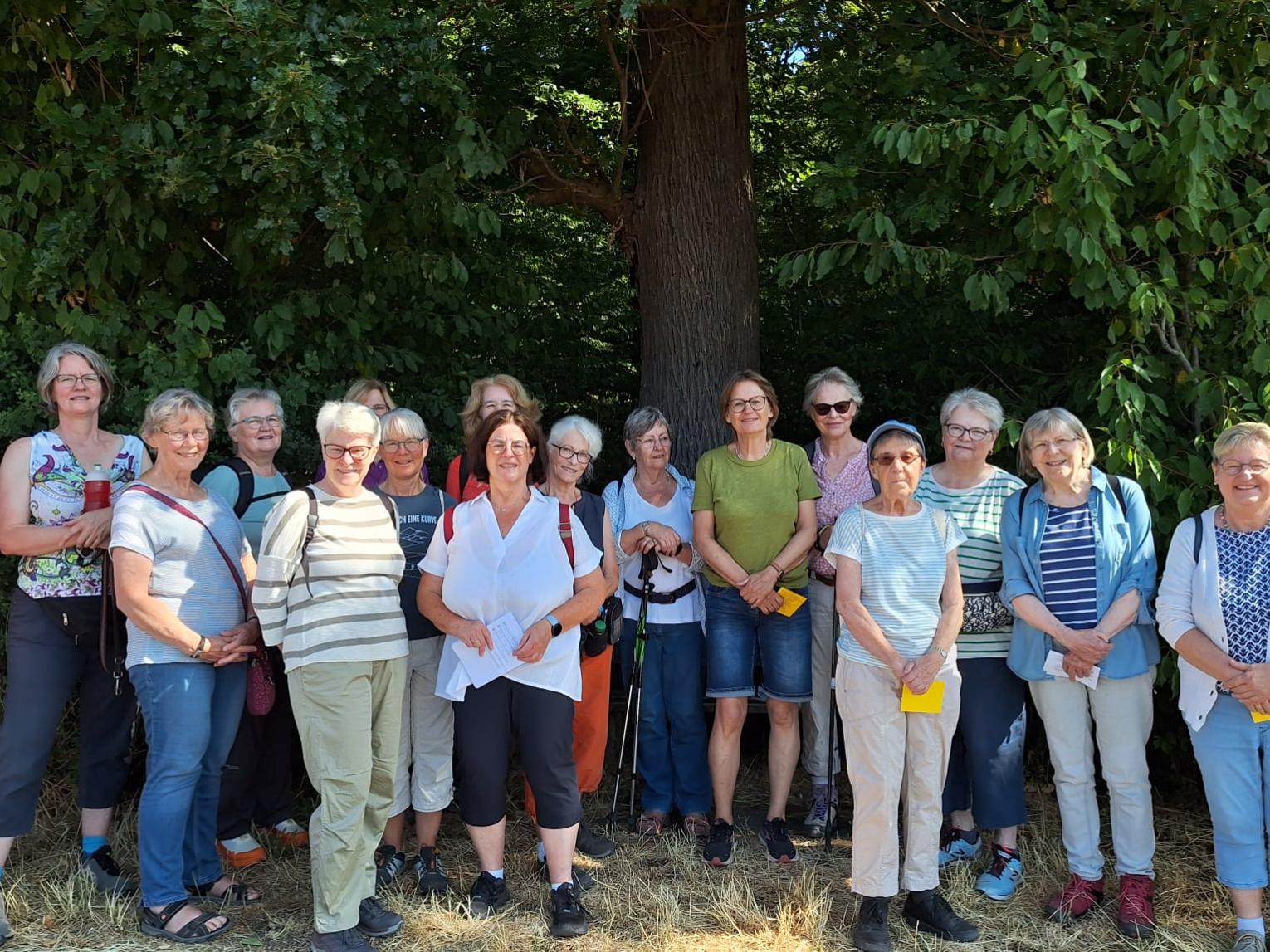 Meditatve Wanderung 1