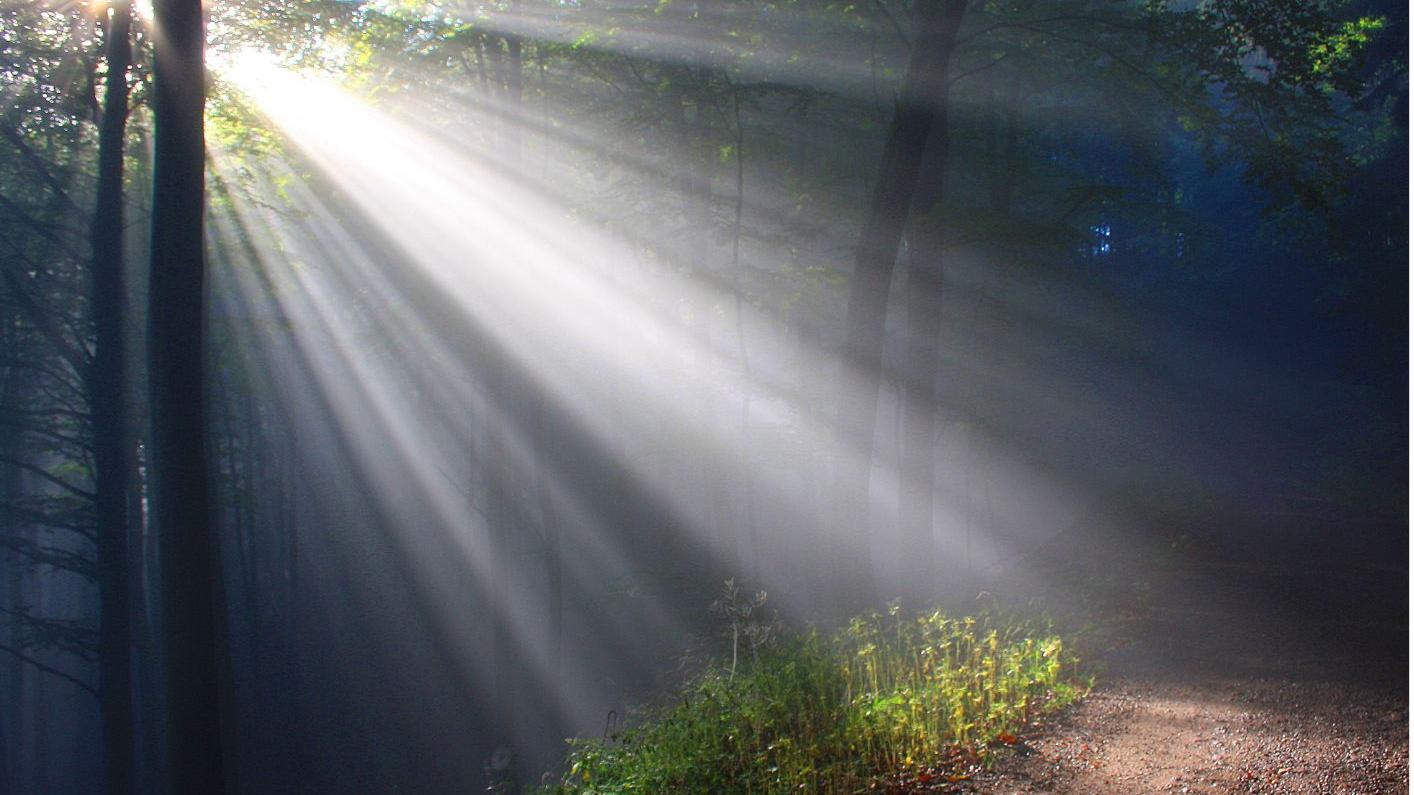 Ostermorgenfeier an der Waldkapelle2026