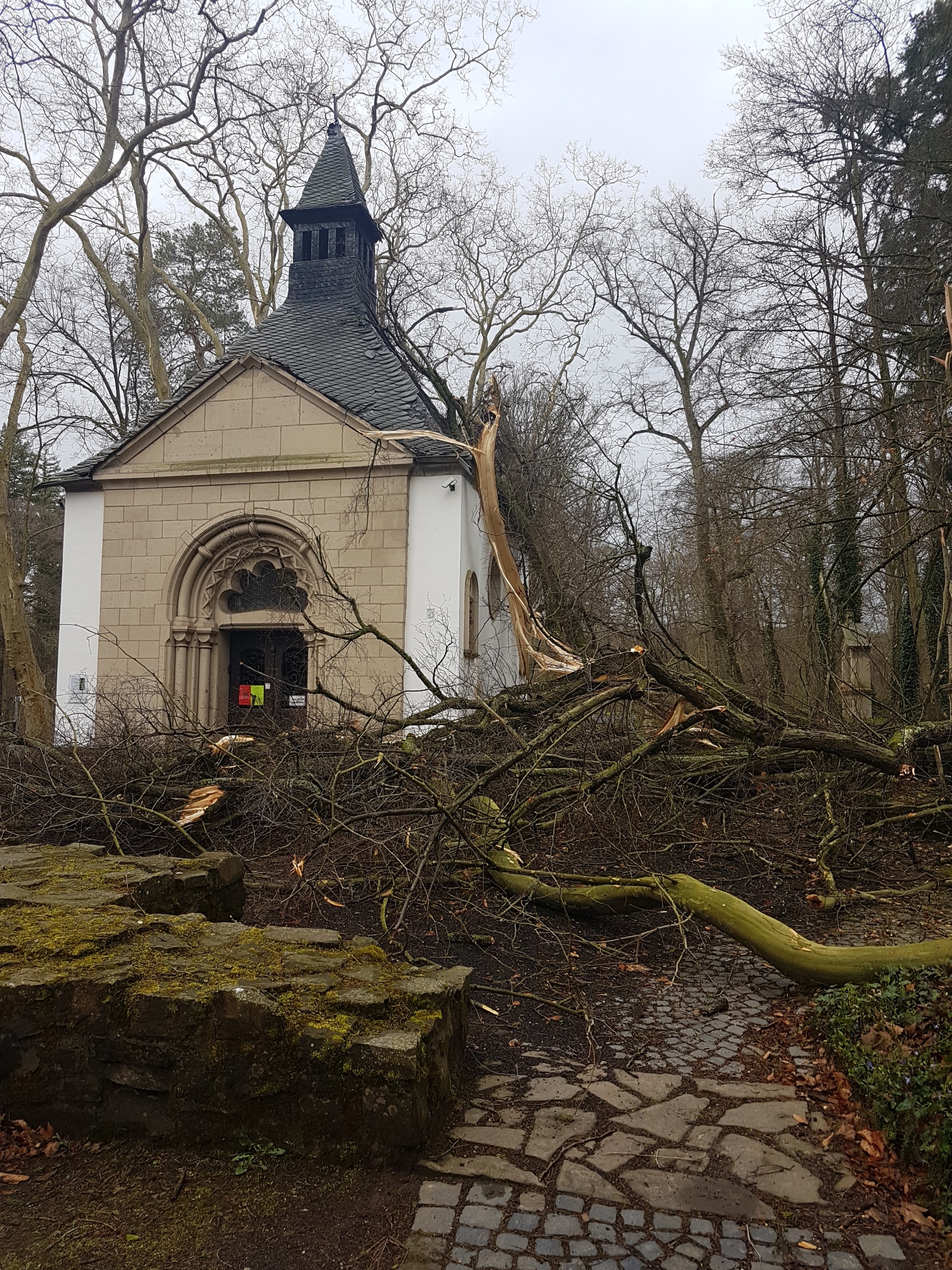20220408_Waldkapelle Sturmschäden