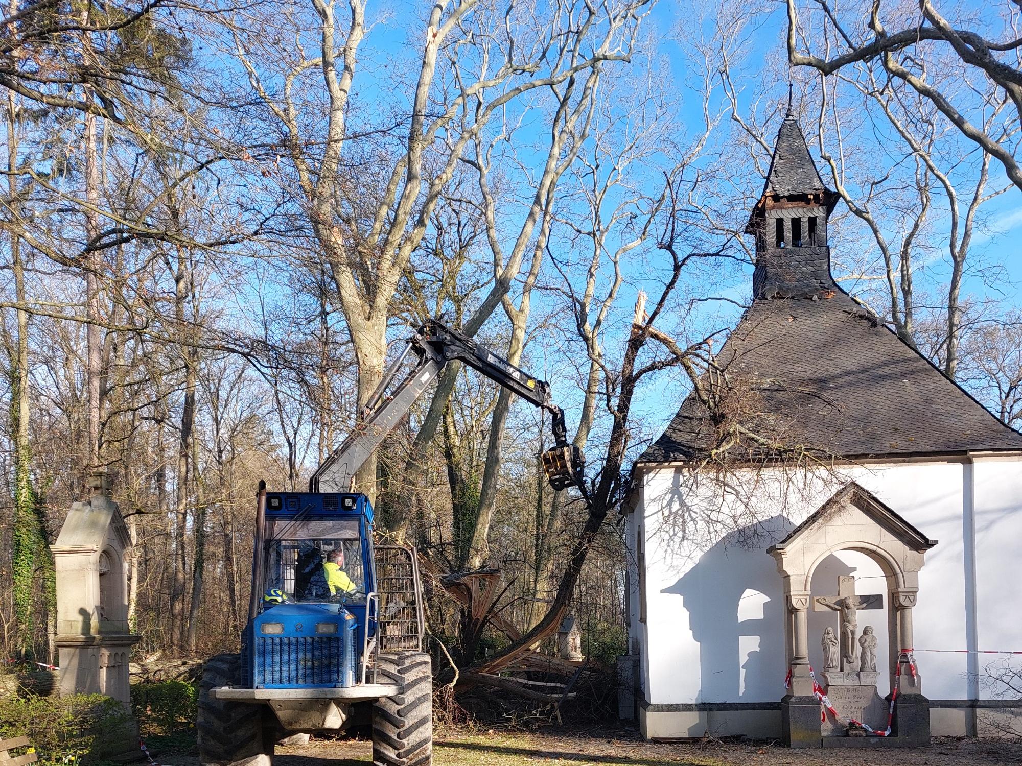 20220411_Waldkapelle Sturmschäden2