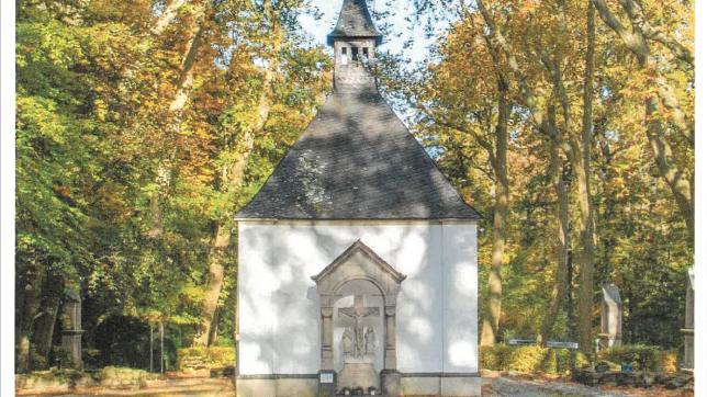 waldkap_mai