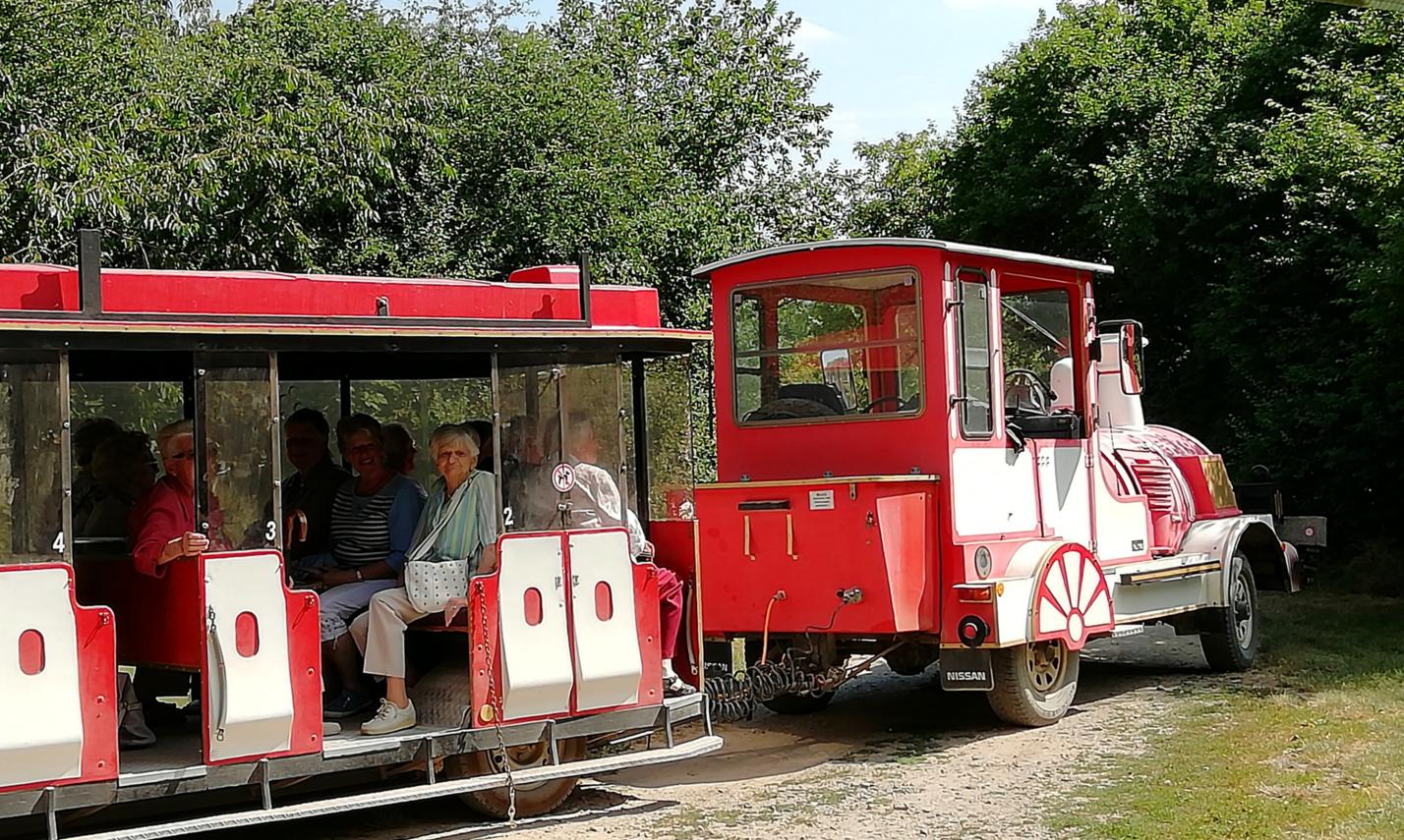 2019_Strauenfarm_Remagen39