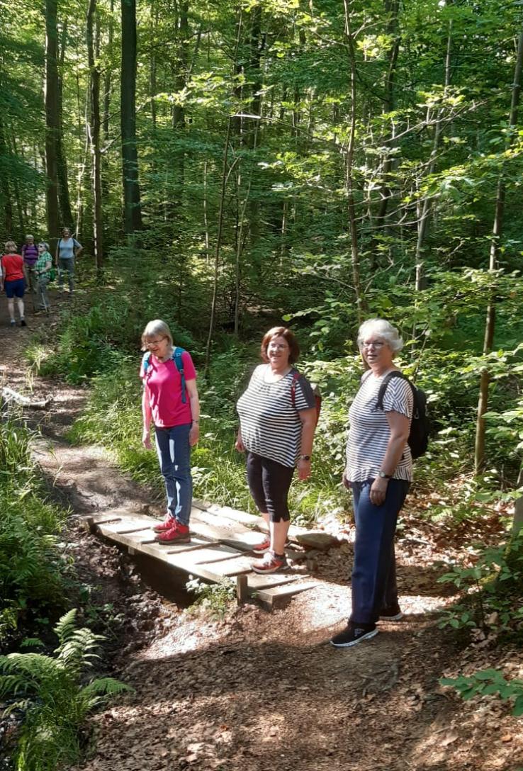 Meditative Wanderung 4